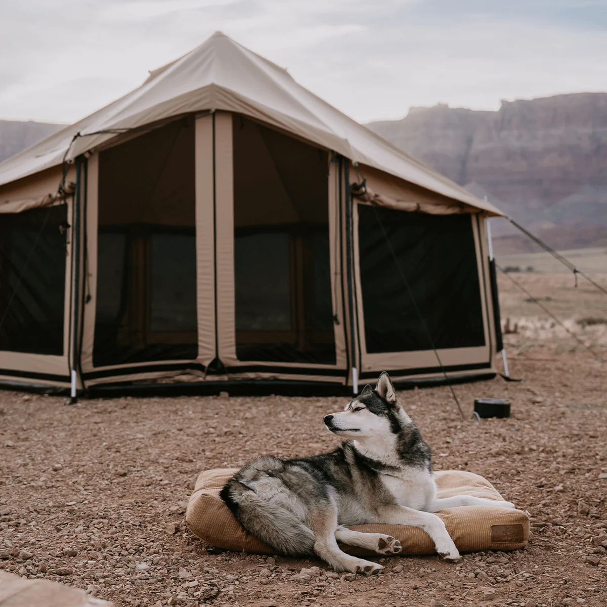 Altimus Bell Tent - Image 19