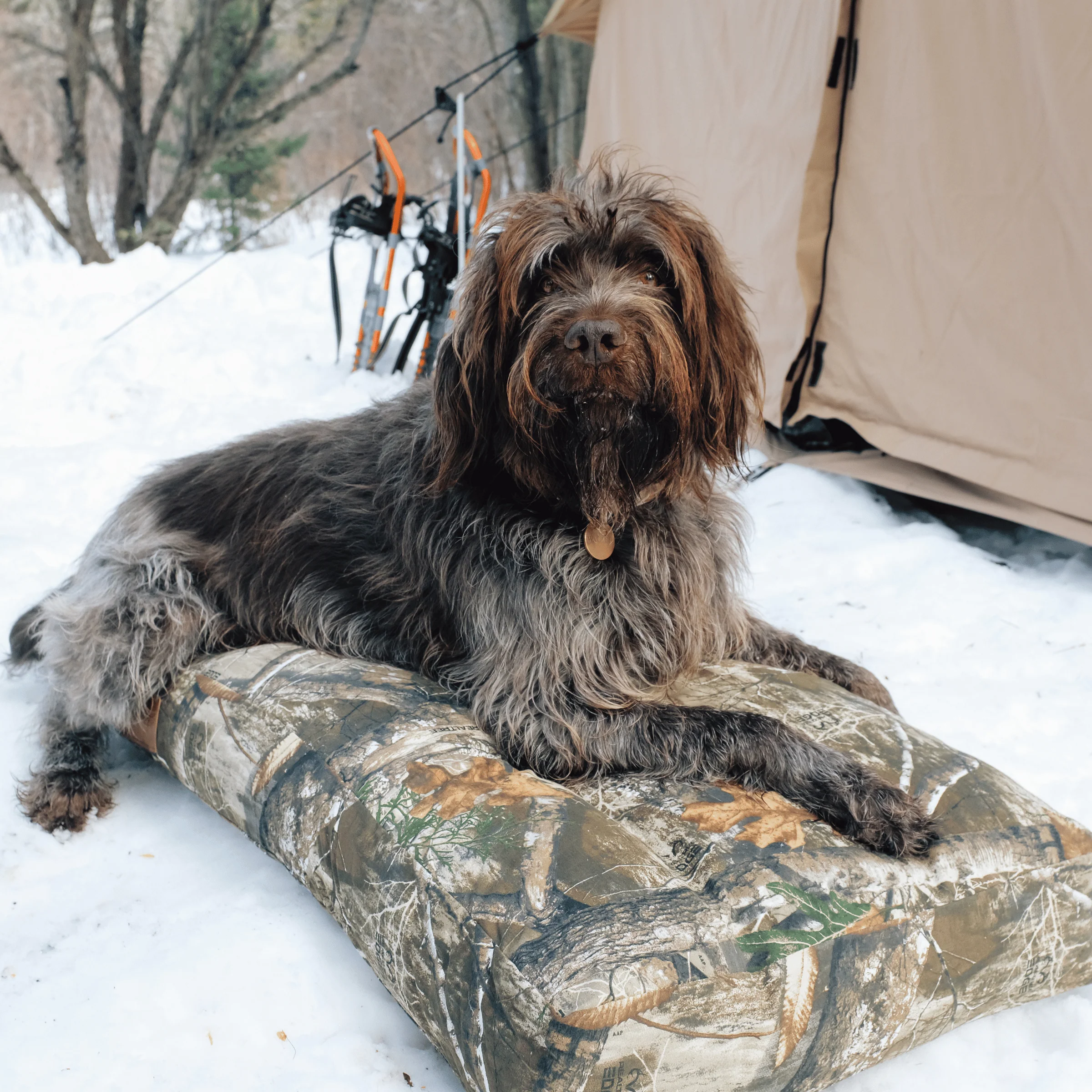 Dog Bed - Image 3