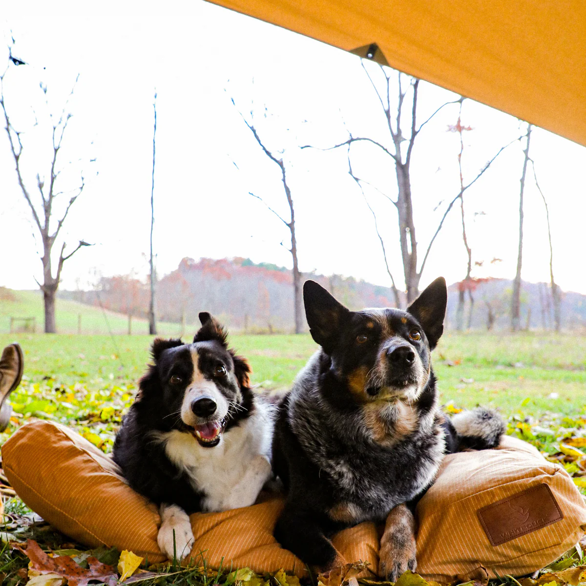 Sunshade Tarp - Image 10