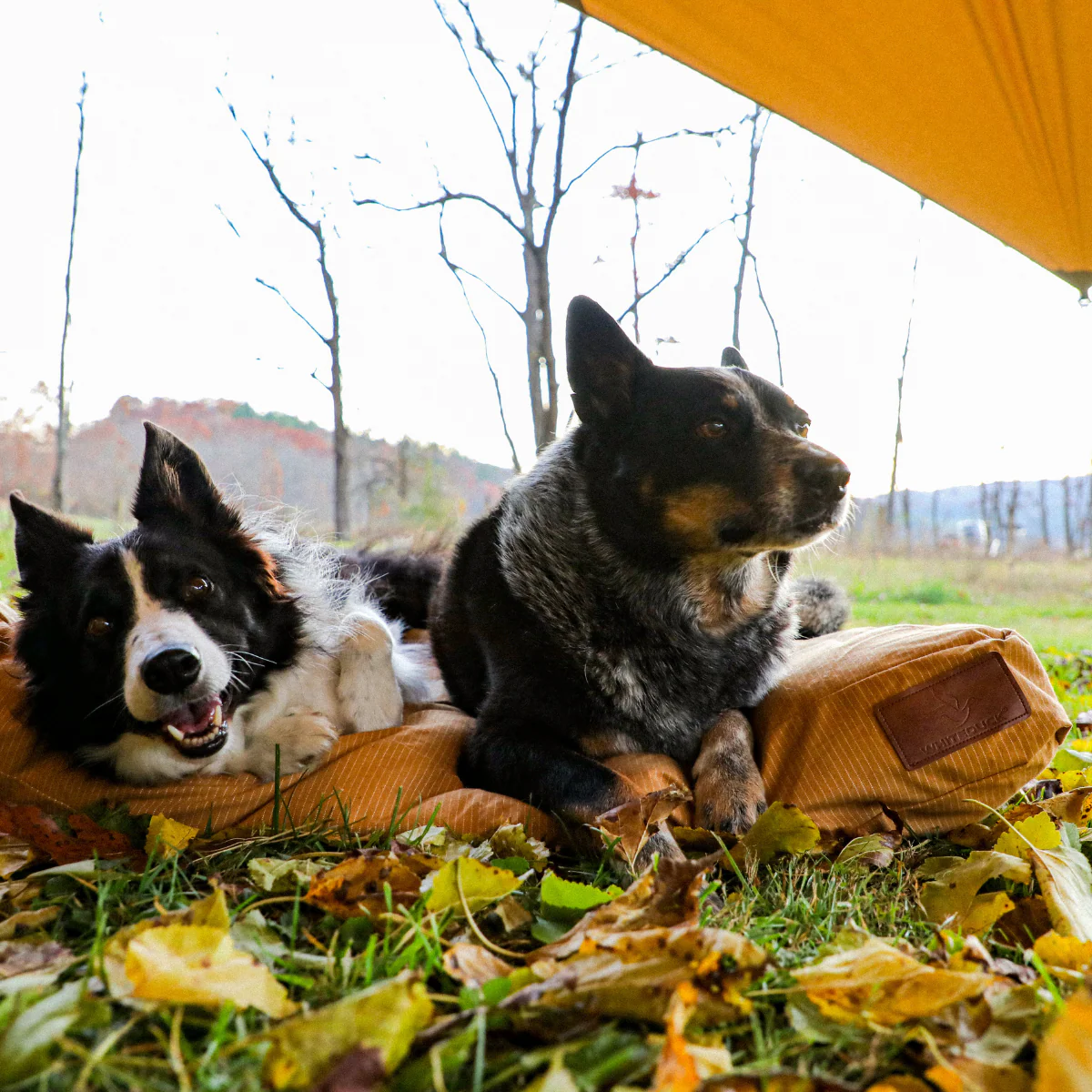 Sunshade Tarp - Image 11