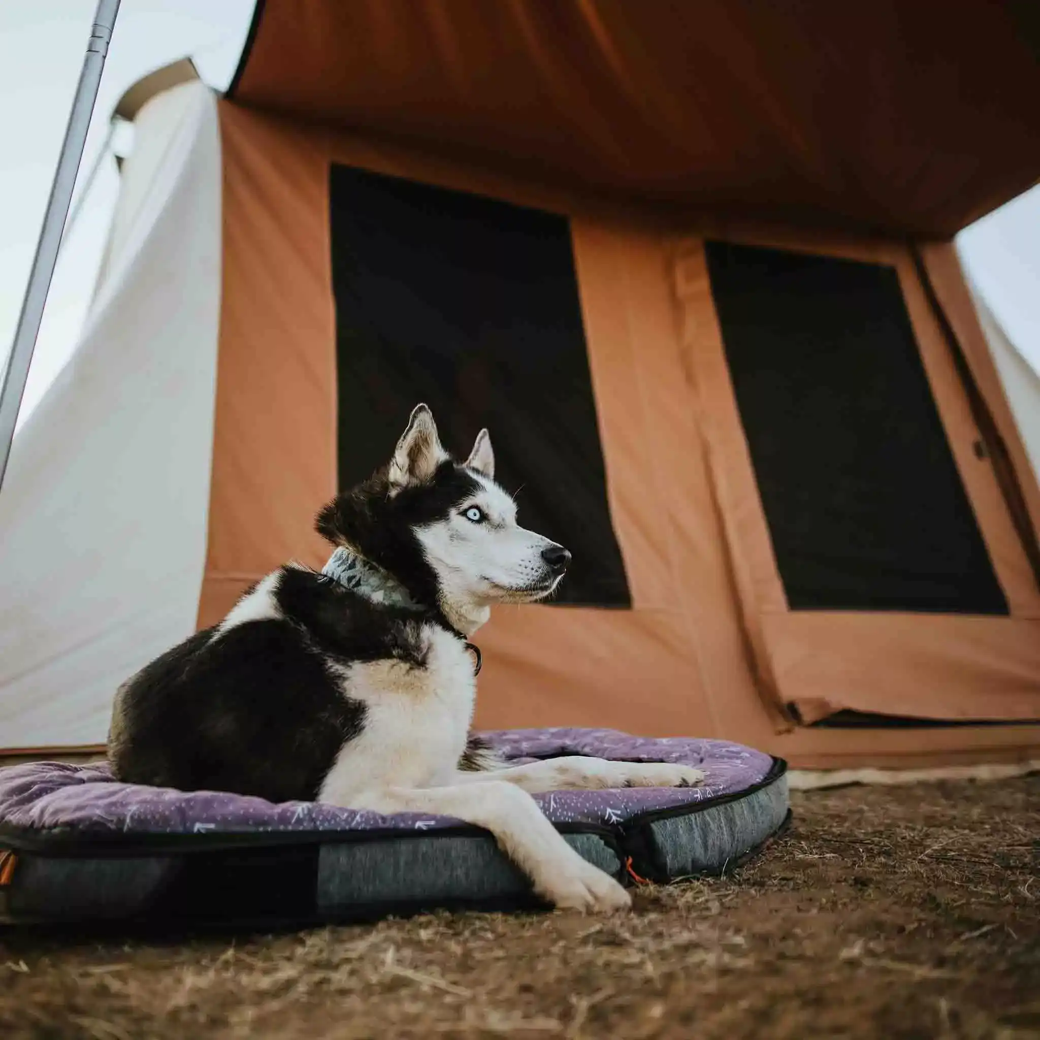 10'x10' Prota Canvas Tent, Deluxe - Image 19