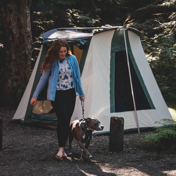 10'x10' Prota Canvas Tent, Deluxe - Image 3