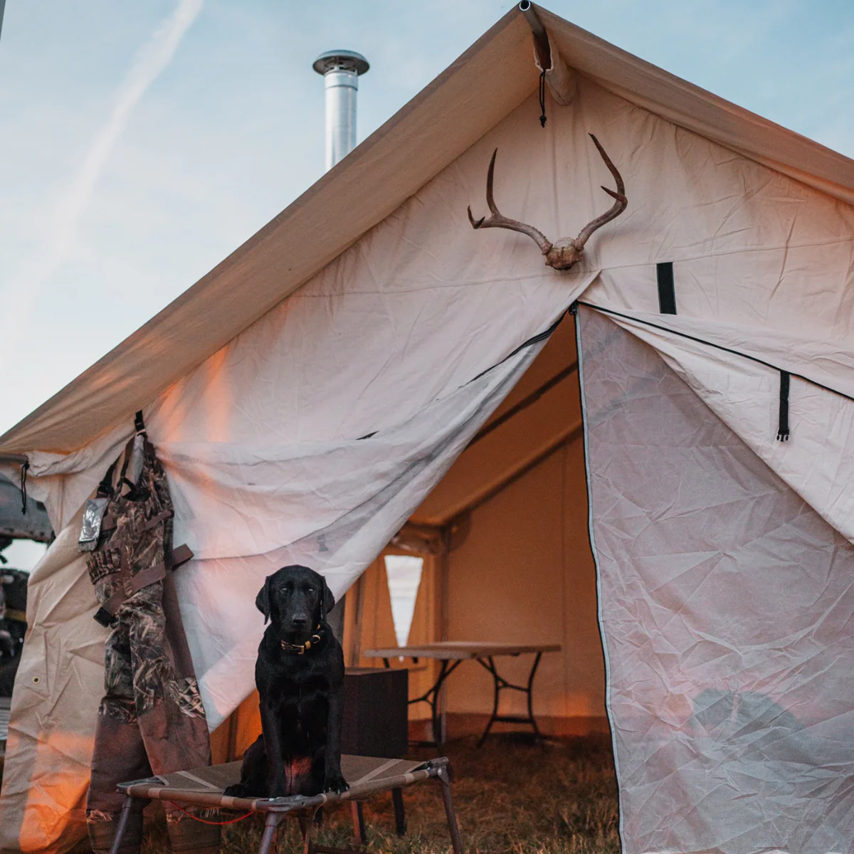 10'x12' Alpha Wall Tent - Image 7