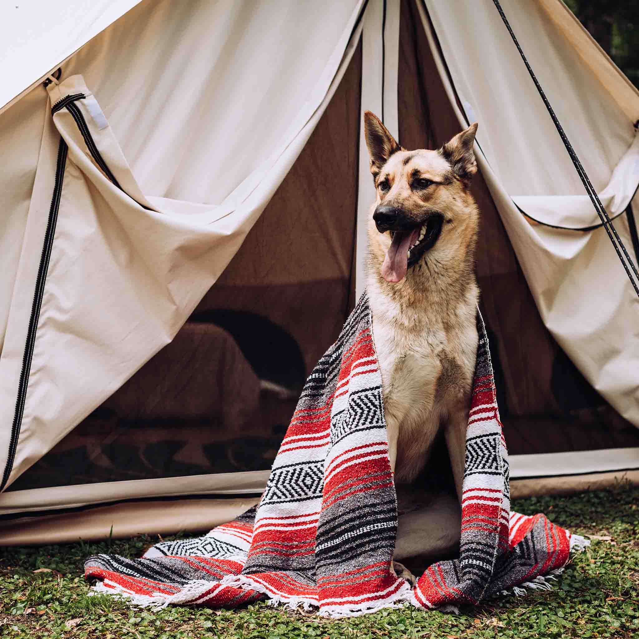 Avalon Bell Tent - Image 9