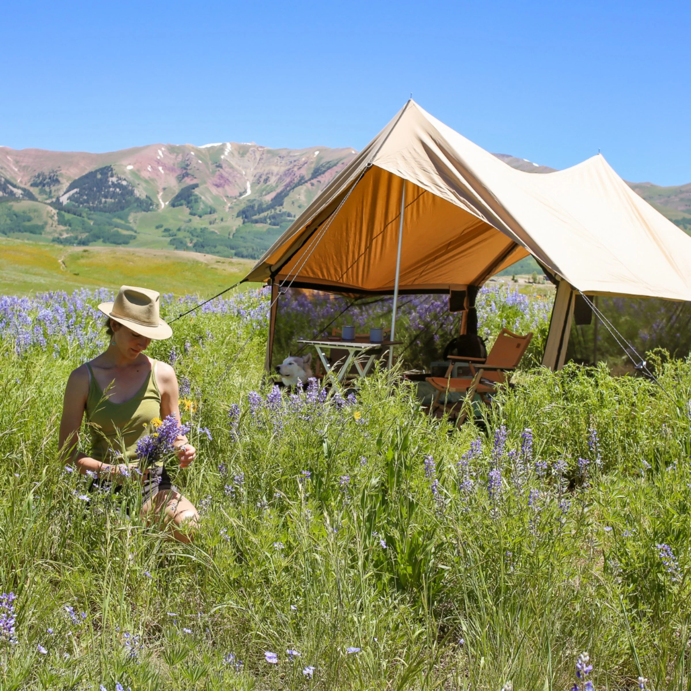 Rover Scout Tent - Image 6
